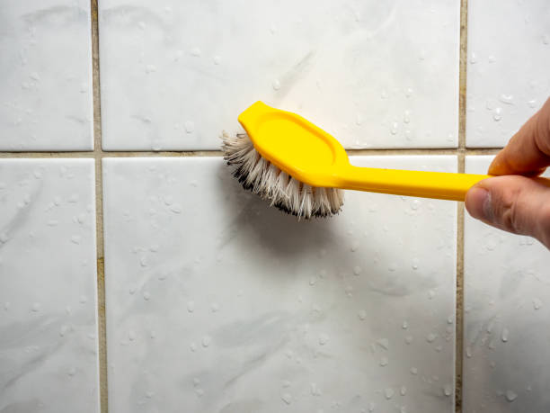 Mold Removal and Inspection in Sterling, KS