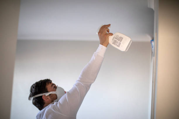Attic Mold Removal in Sterling, KS
