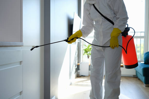 Best Fast Mold Removal  in Sterling, KS