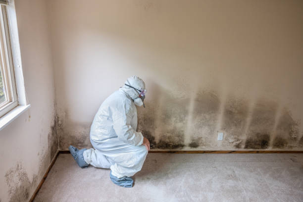 Best Residential Mold Removal  in Sterling, KS